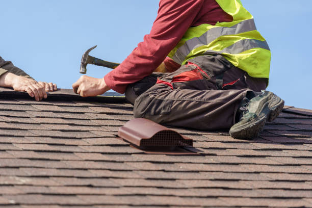 Best Storm Damage Roof Repair  in Ravenna, MI