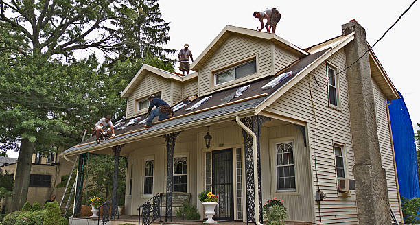 Best Gutter Installation and Roofing  in Ravenna, MI
