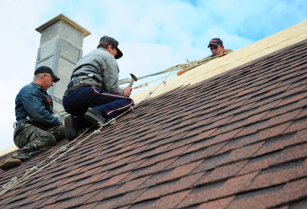 Best Local Roofing Companies  in Ravenna, MI